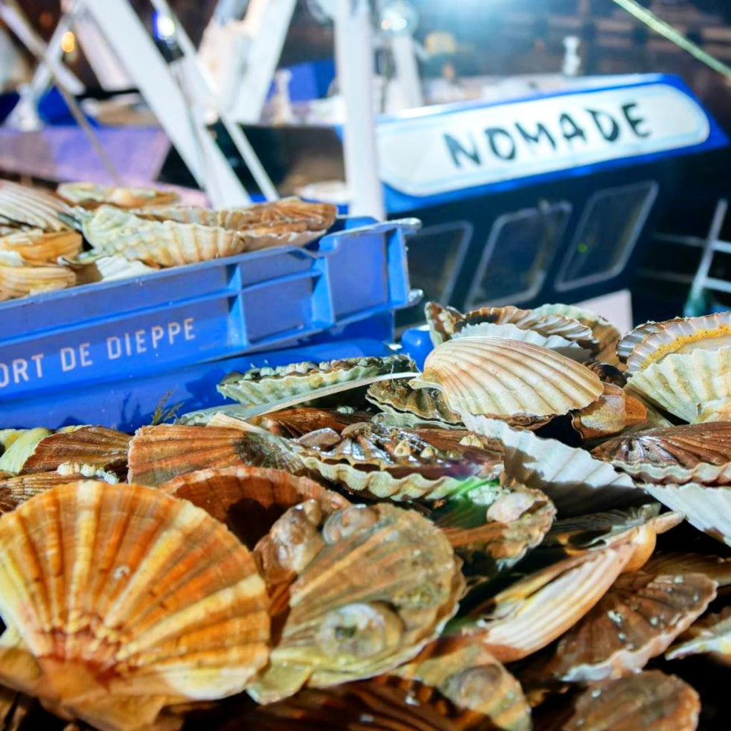 Noix de Saint-Jacques (environ 20 pièces par kg)