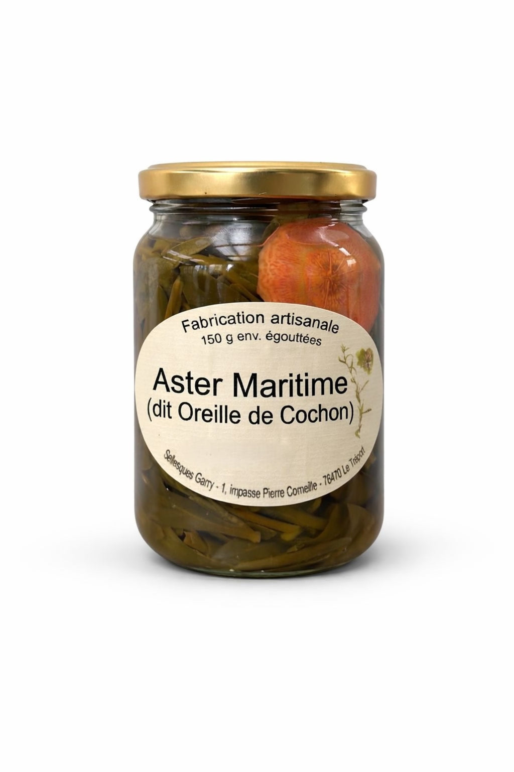 Aster Maritime (dit Oreille de Cochon)