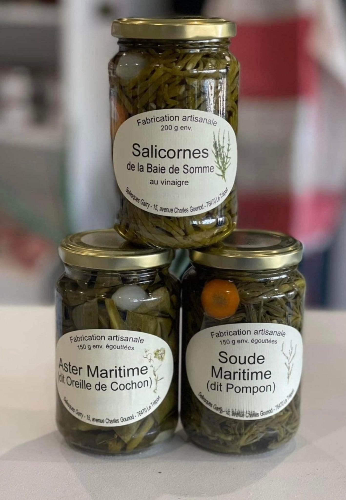 Soude Maritime (dit Pompon)